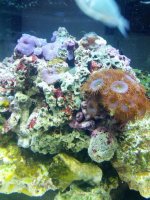 IMG_20120704_121836.jpg