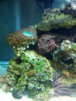 IMG_20120704_122143.jpg