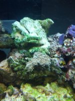 IMG_20120704_122156.jpg