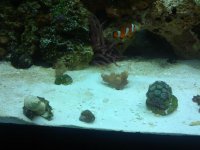 IMG_20120704_122218.jpg