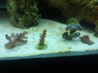 IMG_20120704_122223.jpg