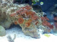 IMG_20120704_122227.jpg