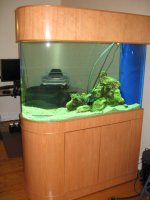 IMG_1737.JPG