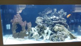 2012-04-15_15-11-01_874.jpg