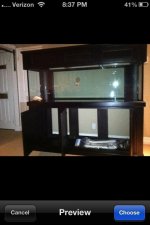 ImageUploadedByReefs1348862795.948501.jpg