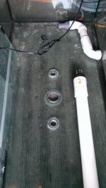 IMAG0195.jpg
