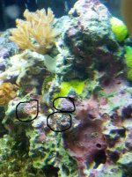 IMG_20120705_183924.jpg