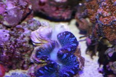 IMG_4213.jpg