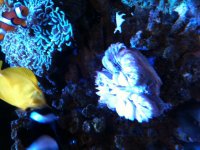 IMG_0011.jpg