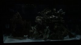 2012-04-15_19-48-53_725.jpg