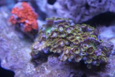 IMG_8846.jpg