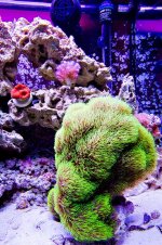 DSC_9478.jpg