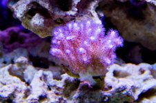 DSC_9482.jpg