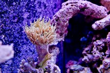 DSC_9485.jpg