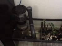 photo 1 (1).JPG