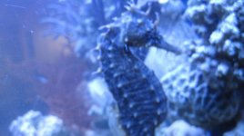 IMG_5385.jpg