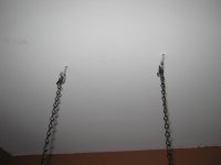 IMG_2436.jpg