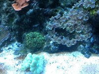 photo 5 (2).JPG