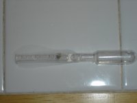 DSC01399.JPG