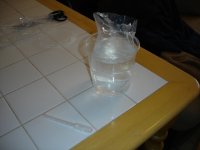 DSC01400.JPG