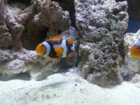 20130106_183444.jpg