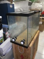 29 Gal.jpg
