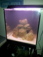 20121124_184459.jpg