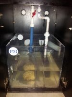 20121124_184413.jpg