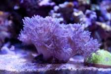 IMG_6028.jpg