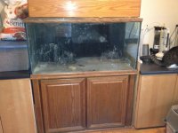 Aquarium 6.jpg