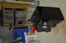 DSC_1237.jpg