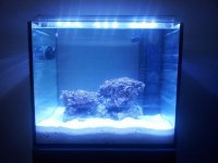 20121002_205811 (2).jpg