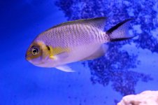 308 (800x533) (2).jpg