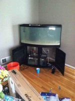 ImageUploadedByReefs1349232238.686290.jpg