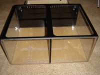 24 x 18 x 11 Clownfish Breeder Tank 001.JPG