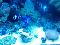 20121003_215733611127177.jpg