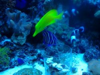 20121003_215742-1856141359.jpg