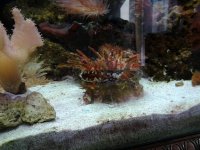 20120526_1602231960265549.jpg