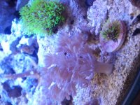 2012-04-19 16.34.22.jpg
