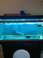 ImageUploadedByReefs1349354278.221780.jpg