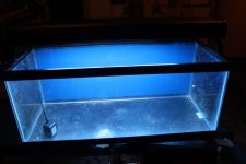 tank3.JPG