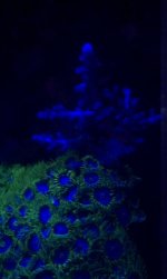 uploadfromtaptalk1341961483397.jpg uploadfromtaptalk1341961483397.jpg