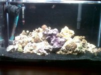 10g.jpg