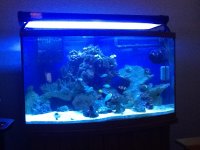 IMG_0224.JPG