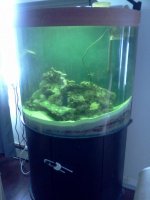 IMG_20110202_125157.jpg