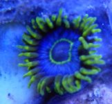 DSCN1648.JPG