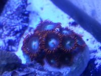 20130109_171535.jpg