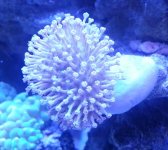 20121215_211207.jpg