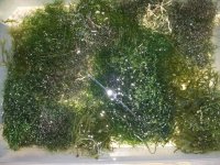 20121127_215243.jpg