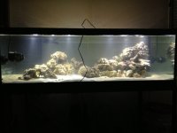 ImageUploadedByReefs1354119593.835157.jpg